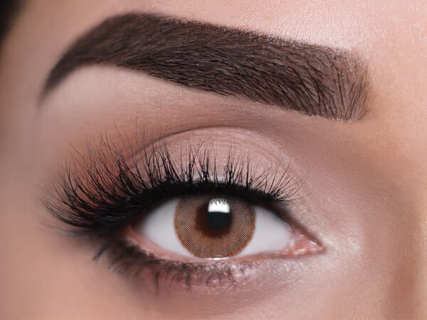 Joli 1 day Hazel Brown (5 Pairs)