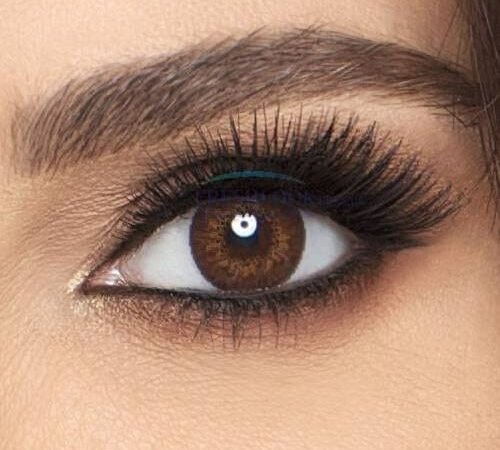 Freshlook Brown